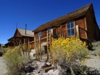 Bodie house with sagebrush