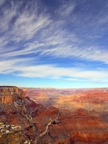 Grand Canyon Rim