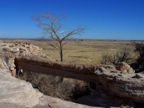 Agate Bridge Petrified Forest Arizona